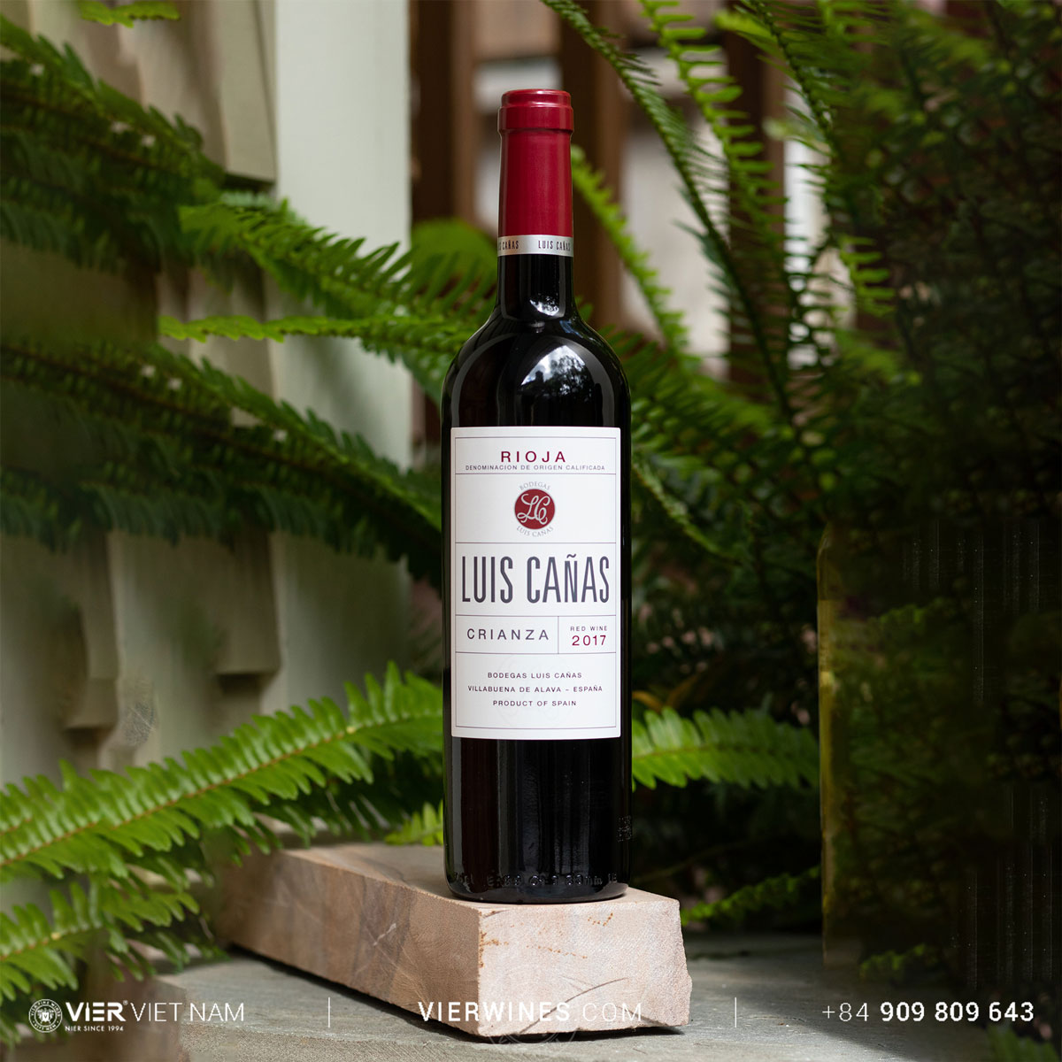 Luis Cañas Crianza - Ảnh 4