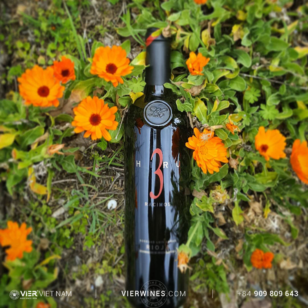 Luis Cañas Hiru 3 Racimos - Ảnh 3