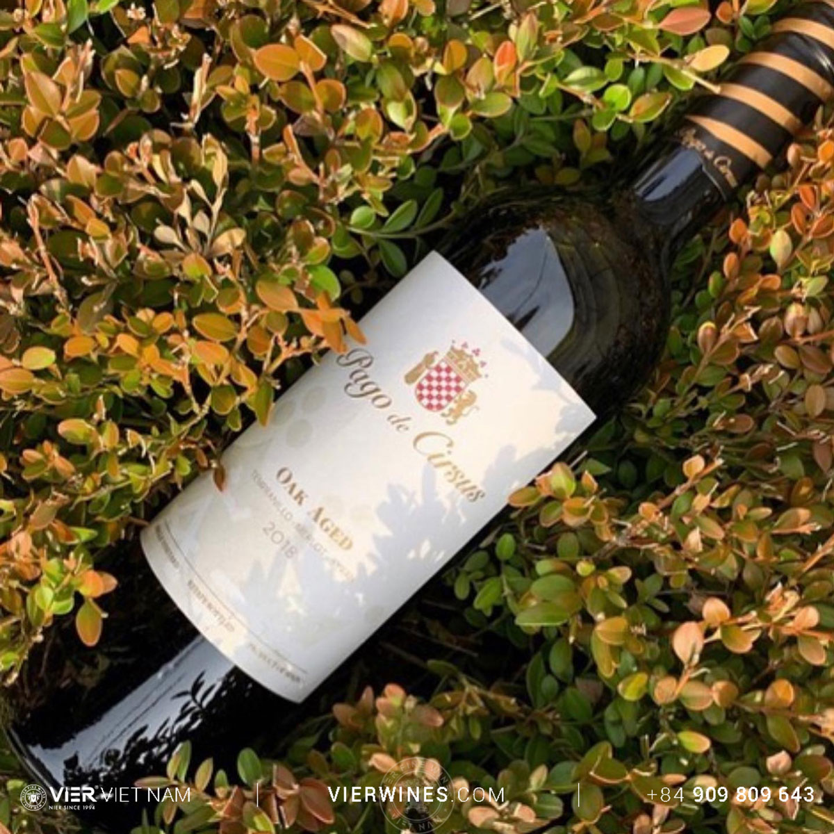 Pago de Cirsus Oak Aged - Ảnh 5