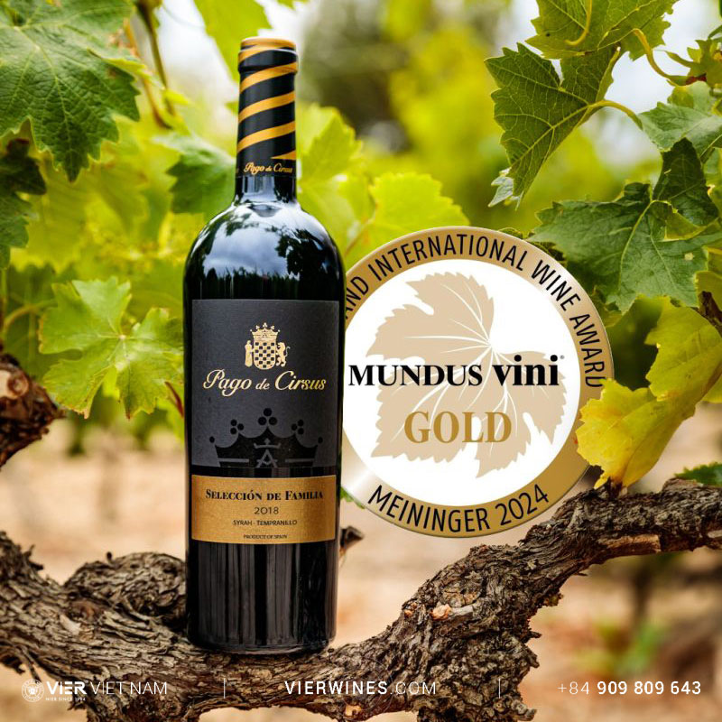 Pago de Cirsus Seleccion de Familia - Ảnh 5