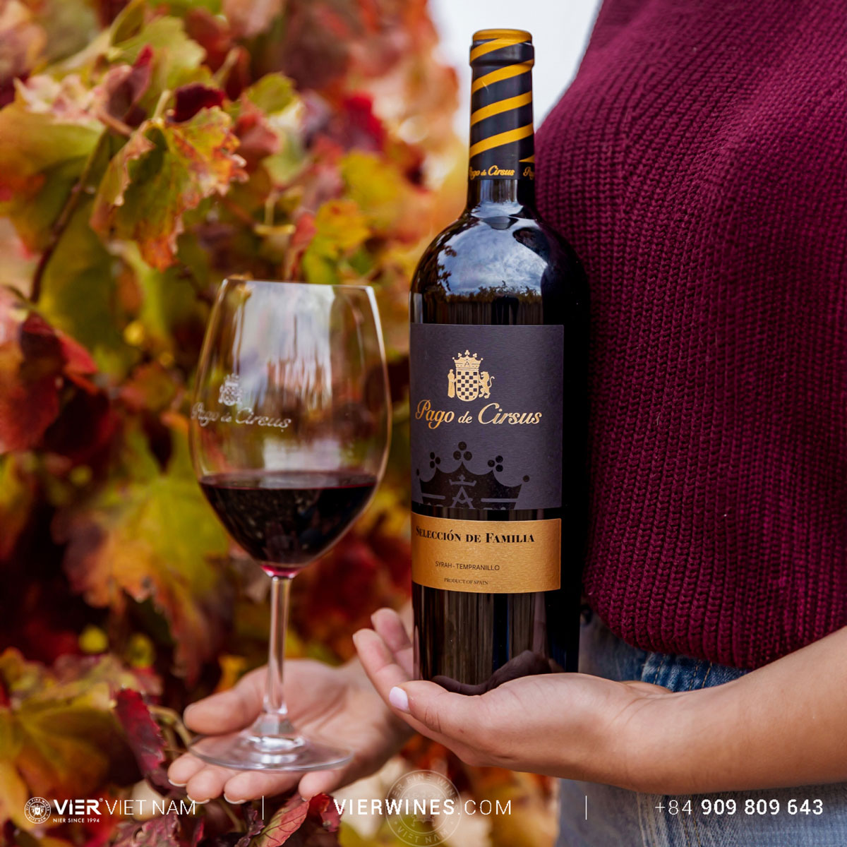 Pago de Cirsus Seleccion de Familia - Ảnh 3