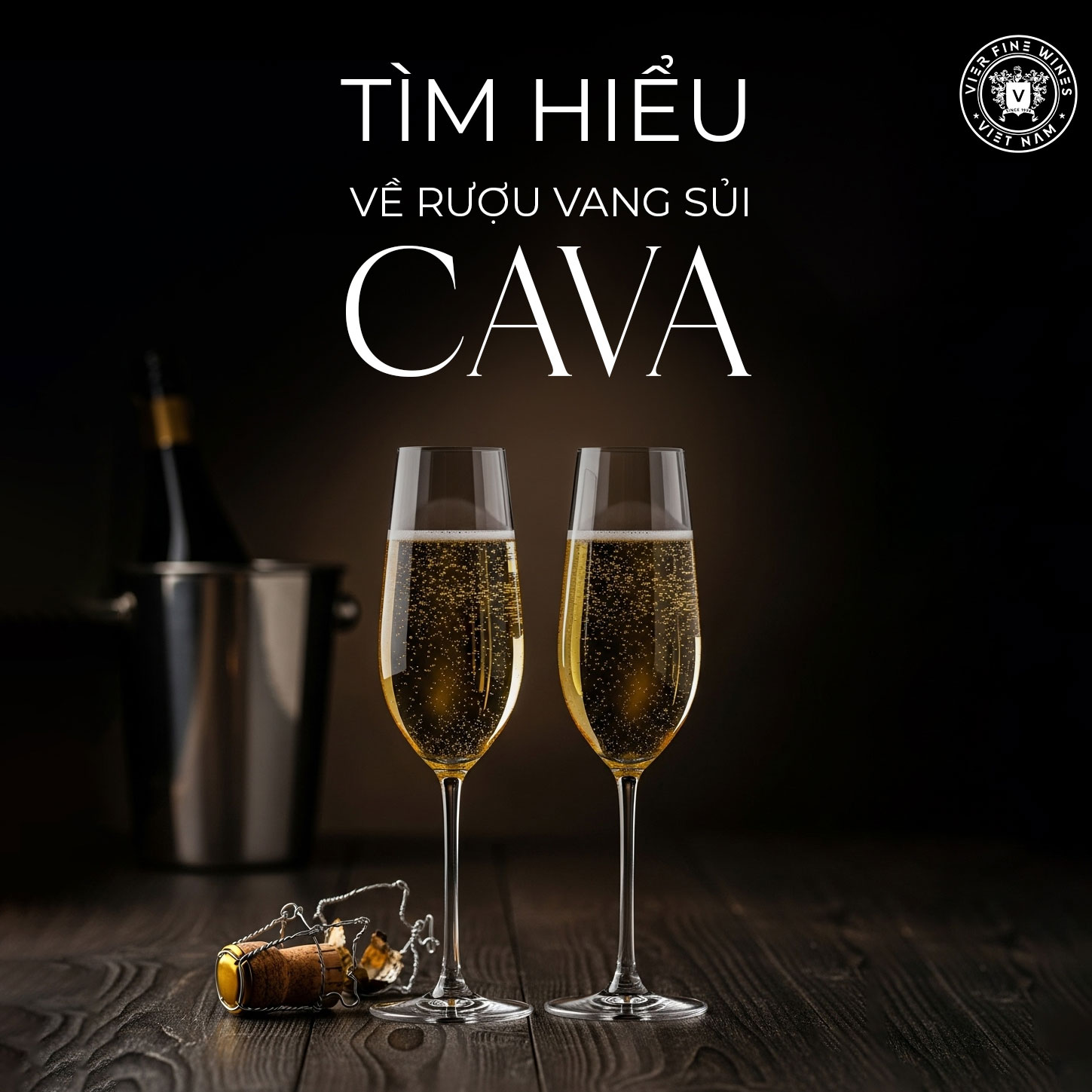 Tìm hiểu về rượu vang sủi Cava