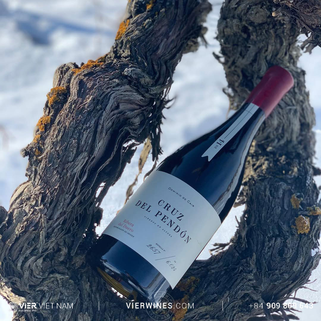 Dominio de Cair Cruz Del Pendón - Ảnh 3