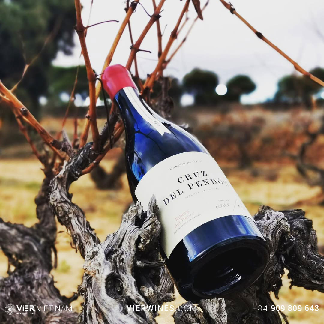 Dominio de Cair Cruz Del Pendón - Ảnh 5